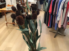 Load image into Gallery viewer, Neutral fall stems
