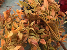 Load image into Gallery viewer, Short fall stems
