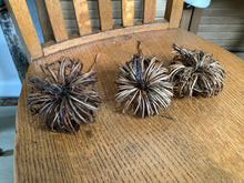 Load image into Gallery viewer, Natural pumpkin decor
