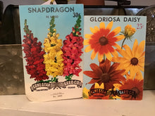 Load image into Gallery viewer, Vintage Seed Packet
