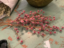 Load image into Gallery viewer, Winter Greenery Stems
