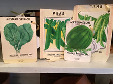 Load image into Gallery viewer, Vintage Seed Packet
