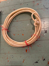 Load image into Gallery viewer, Leather Horse Collar
