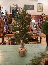Load image into Gallery viewer, Pine tree
