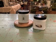 Load image into Gallery viewer, Bug jars
