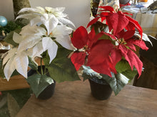 Load image into Gallery viewer, Faux Poinsetta
