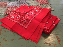 Load image into Gallery viewer, Scarves and Neckwarmers
