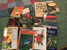 Load image into Gallery viewer, Vintage Books

