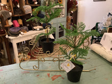 Load image into Gallery viewer, Pine tree
