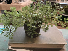 Load image into Gallery viewer, Faux potted plants
