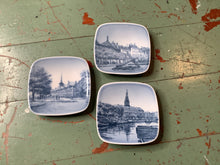 Load image into Gallery viewer, Display plates
