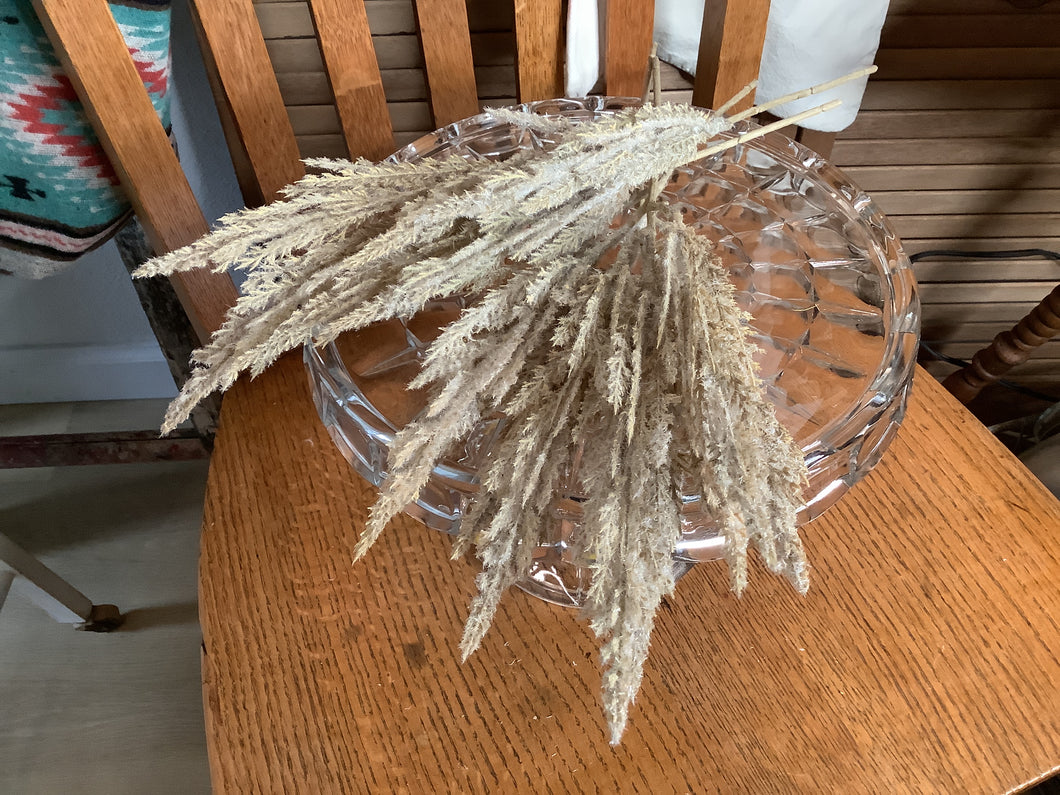 Short fall stems