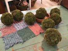 Load image into Gallery viewer, Greenery sphere
