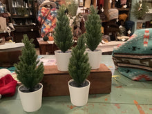 Load image into Gallery viewer, Pine tree
