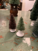 Load image into Gallery viewer, Bottle brush tree in vintage base
