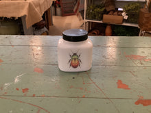 Load image into Gallery viewer, Bug jars
