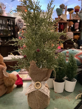 Load image into Gallery viewer, Pine tree
