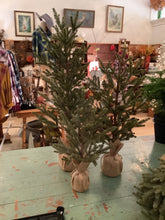 Load image into Gallery viewer, Pine tree
