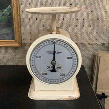 Load image into Gallery viewer, Vintage scale
