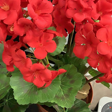 Load image into Gallery viewer, Potted faux geranium
