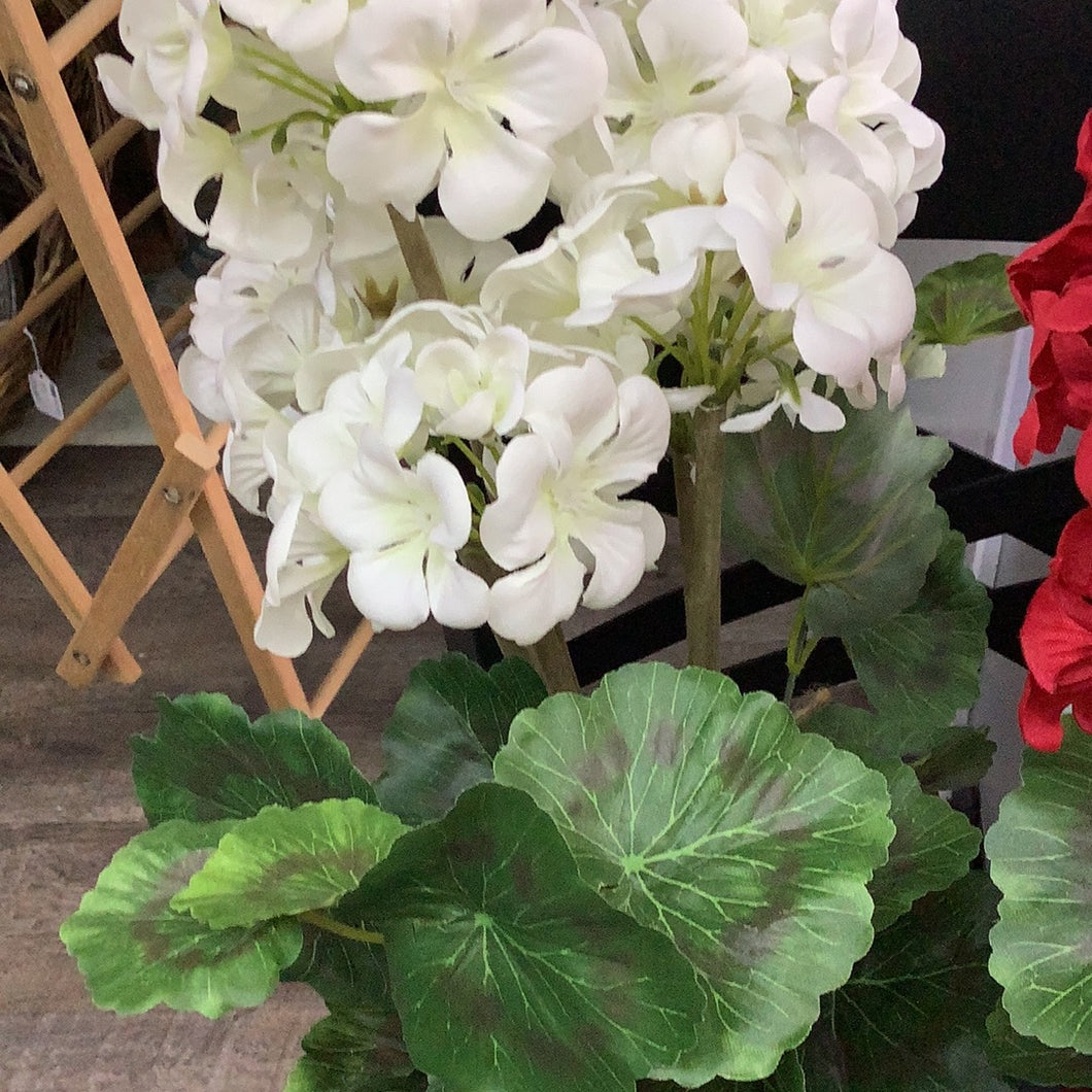 Potted faux geranium