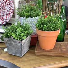 Load image into Gallery viewer, Faux potted greenery
