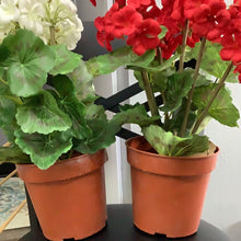 Load image into Gallery viewer, Potted faux geranium

