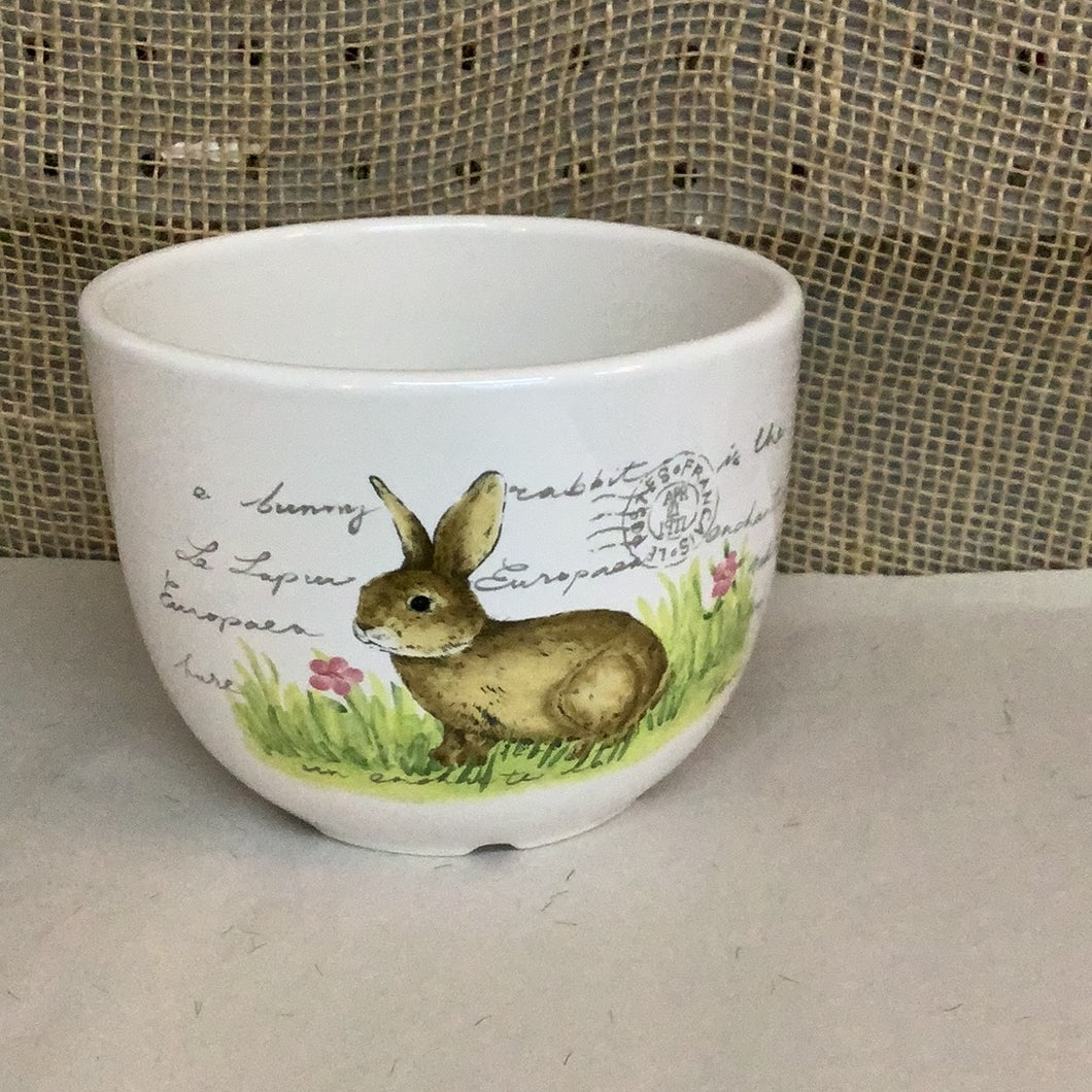 Small bunny bowl